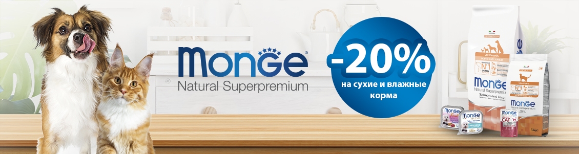 -20% на Monge