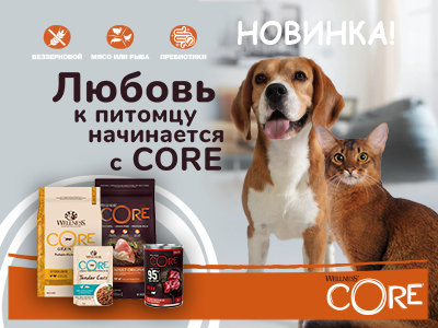 Wellness CORE Новинка!!!