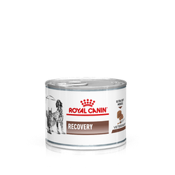Royal Canin VetDiets Recovery