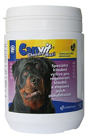 Канвит Хондро Макси