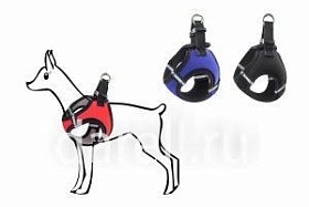 Шлейка Дарэлл "Адам-Нео" M