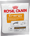 Royal Canin Energy