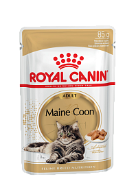 Royal Canin Maine Coon