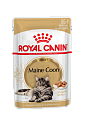 Royal Canin Maine Coon