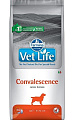 Farmina Vet Life Dog Convalescence