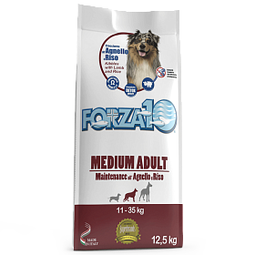 Forza10 Maintenance M/L с ягненком и рисом