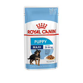 Royal Canin Maxi Puppy