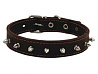 Ошейник Каскад №35 двойной с шипами