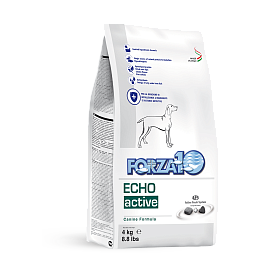 Forza10 Echo (Oto Active)