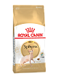 Royal Canin Sphynx