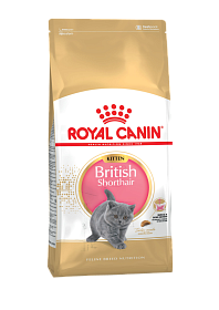 Royal Canin Kitten British Shorthair