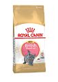 Royal Canin Kitten British Shorthair