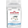Royal Canin Queen