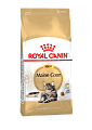 Royal Canin Maine Coon