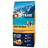 Ontario Adult Medium Fish & Rice