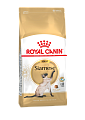 Royal Canin Siamese