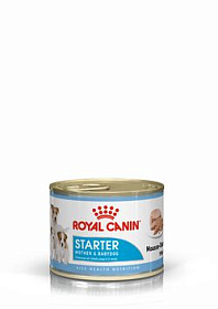 Royal Canin Starter Mousse