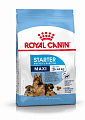 Royal Canin Maxi Starter Mother & Babydog