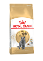 Royal Canin British Shorthair