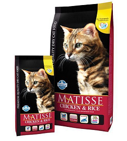 Matisse Chicken & Rice