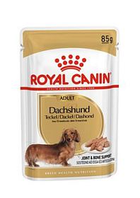 Royal Canin Dachshund