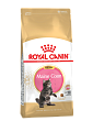 Royal Canin Kitten Maine Coon