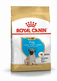 Royal Canin Pug Junior